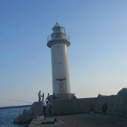 2016夏の夜釣り２夜連続スペシャル